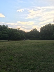 IMG_0484