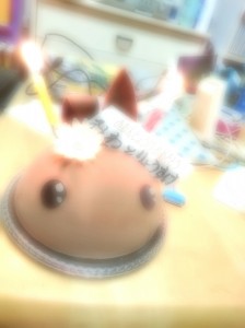 wpid-wp-1464159716909.jpeg