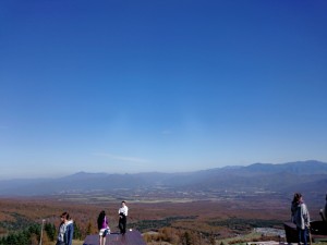 wpid-wp-1478259412581.jpeg