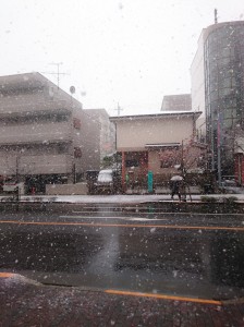wpid-wp-1479993034853.jpeg