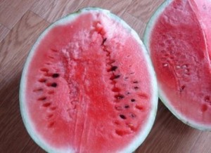 suica20101002-thumbnail2