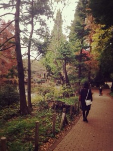 紅葉
