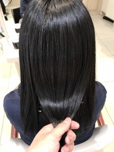 1495783261101