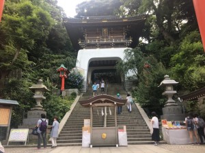 IMG_1998