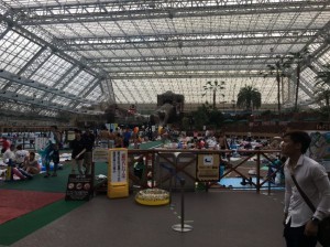 IMG_2313