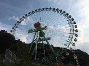IMG_2315