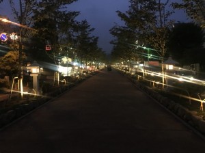 IMG_3013