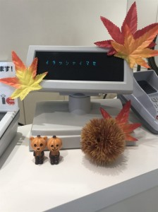 image1.JPG秋