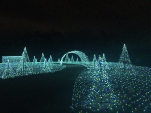 IMG_3885