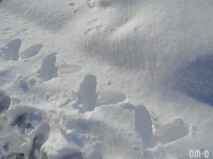 IMG_20180123_114540_522