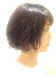 irumina2