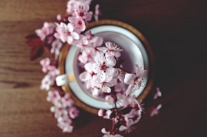 spring-2174750_960_720