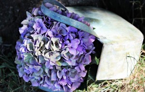 hydrangea-1635593_960_720