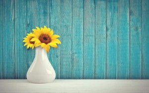 sunflower-3292932_960_720