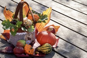 autumn-3691926__340