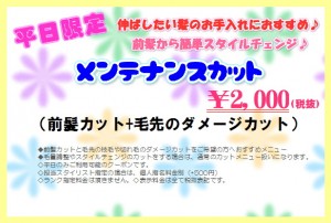 メンテナンスカット