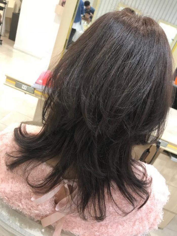 王道レイヤー
