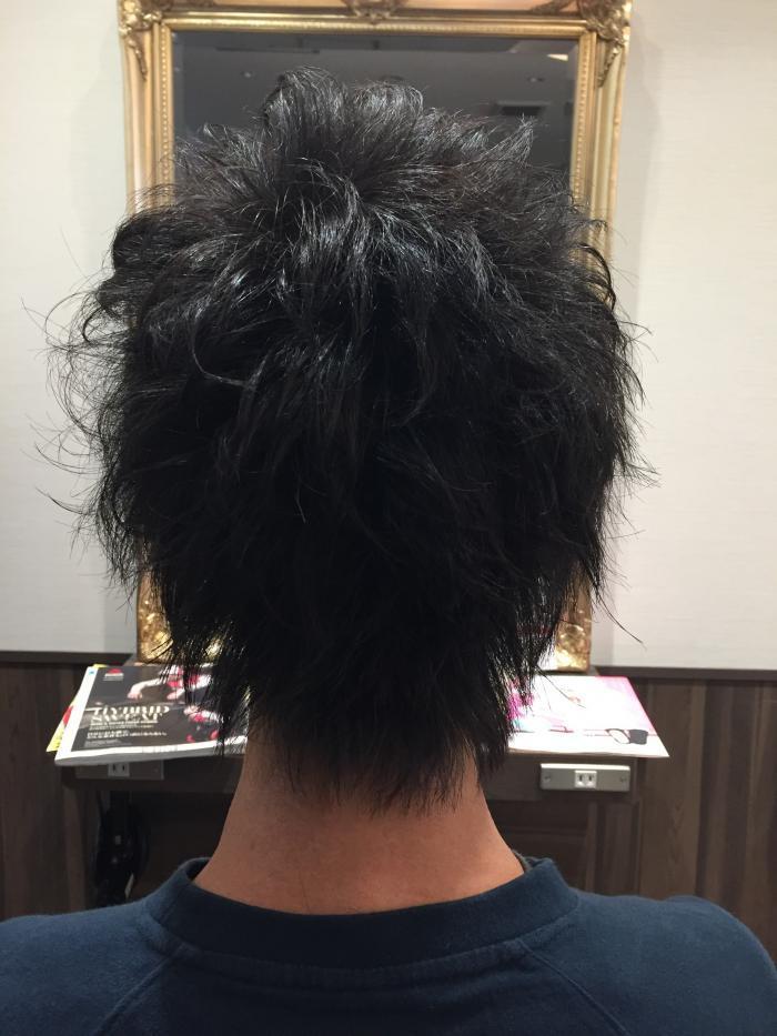 ショートウルフ