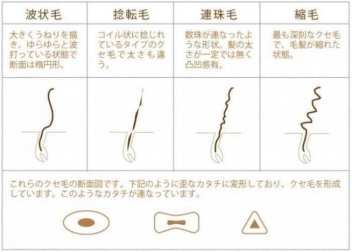 くせ毛の種類について！