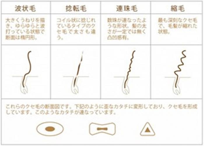 ○髪の毛の形状によって