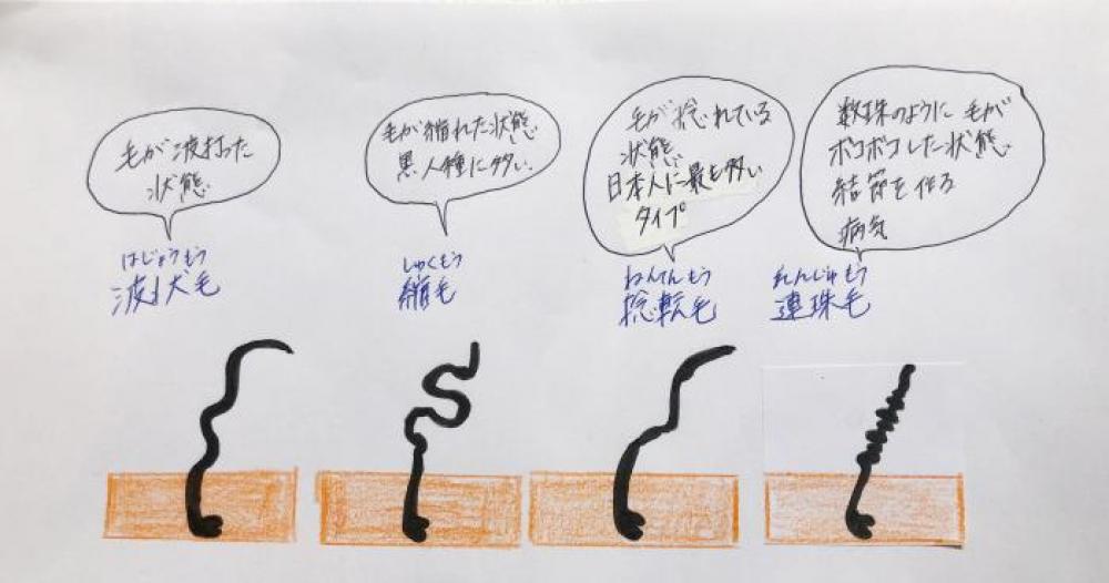 クセ毛の主な種類