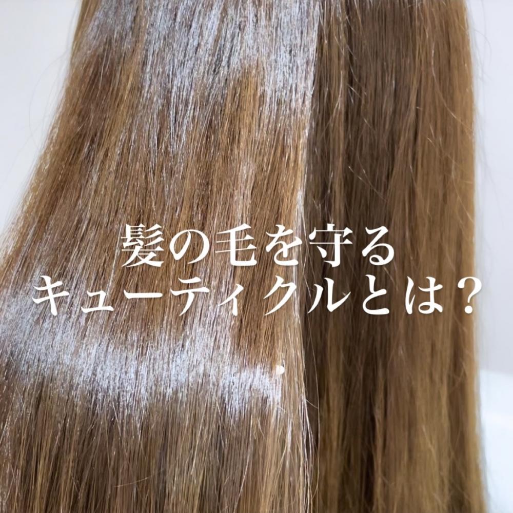 髪の毛を守るキューティクルとは？