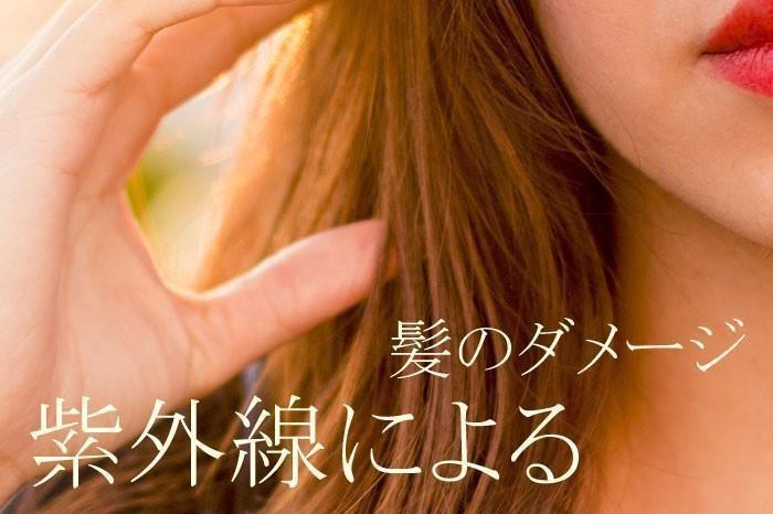 【まとめ】～肌はケアするけど髪のケアも！～