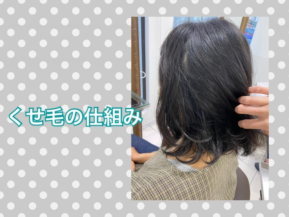 くせ毛の仕組み