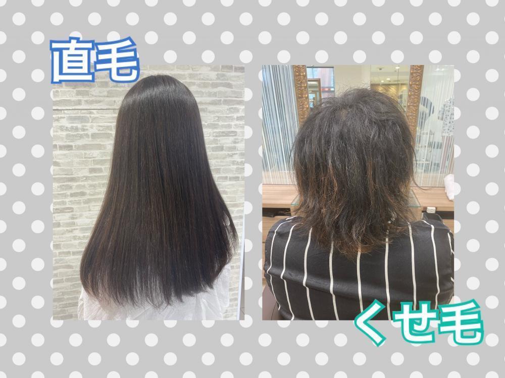 くせ毛の特徴