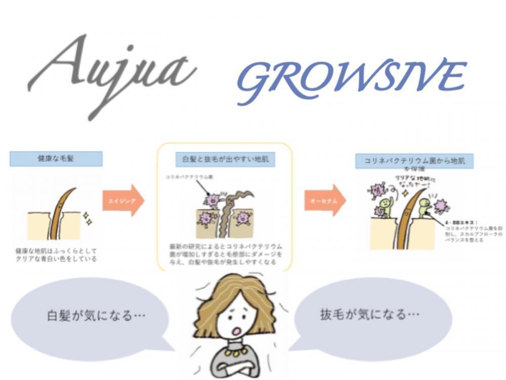 【白髪や抜毛の原因】