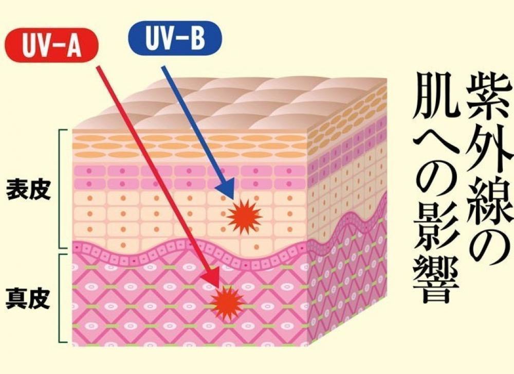 作戦その①