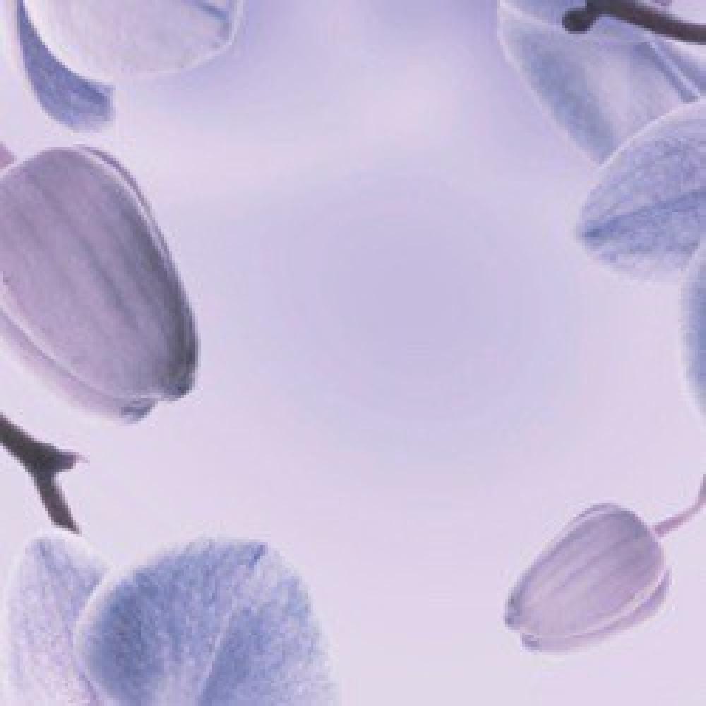 ILLUMINA ORCHID