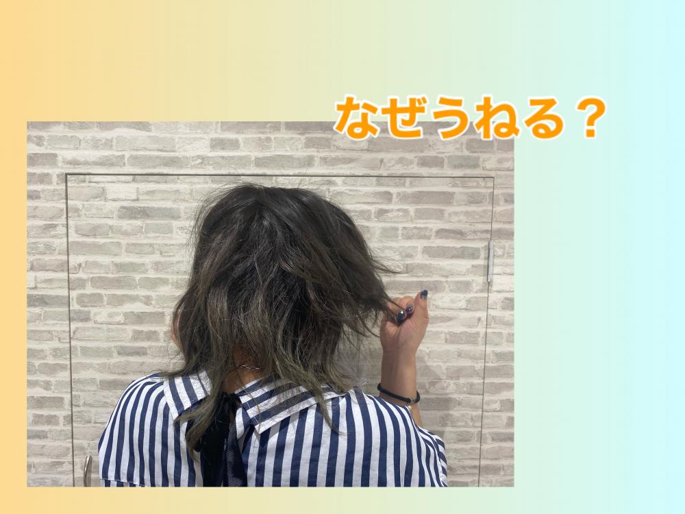 湿気があるとなぜうねる？
