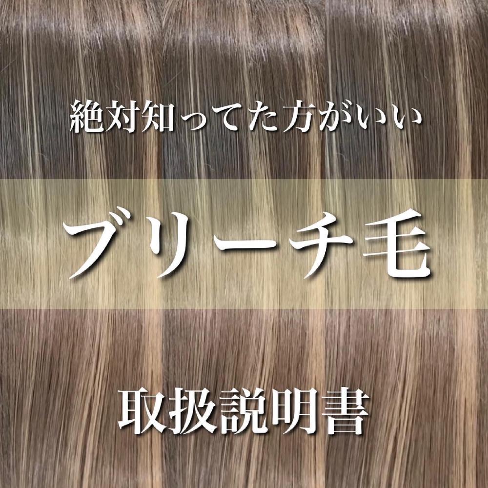 ブリーチ毛、ダメージ毛【取扱説明書】