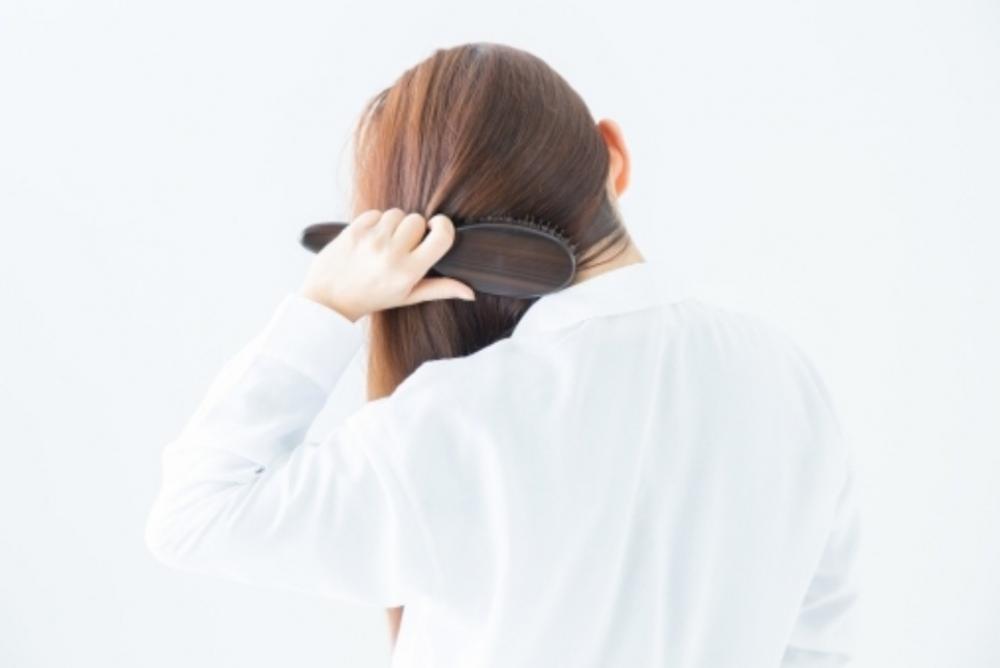 シャンプー前にブラッシングする理由