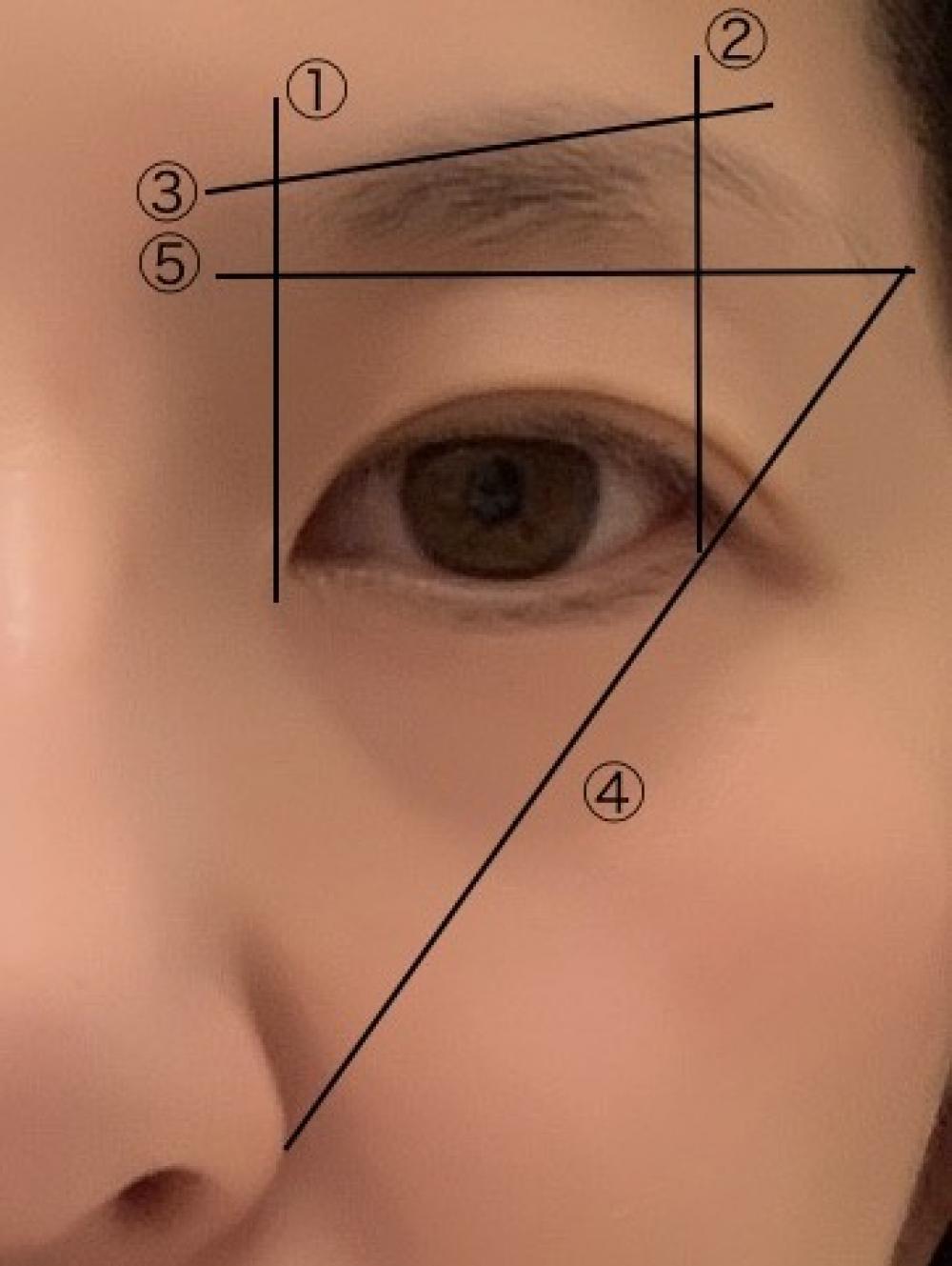 美人に見える眉の黄金バランスとは？
