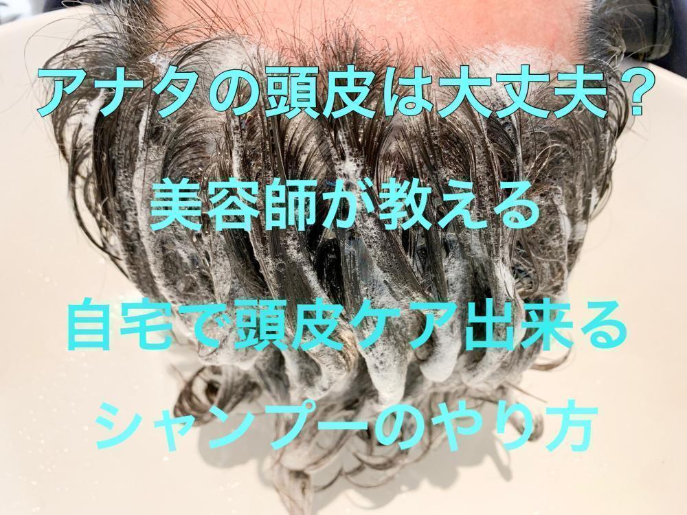 アナタの頭皮は大丈夫？美容師が教える自宅で頭皮ケア出来るシャンプーのやり方