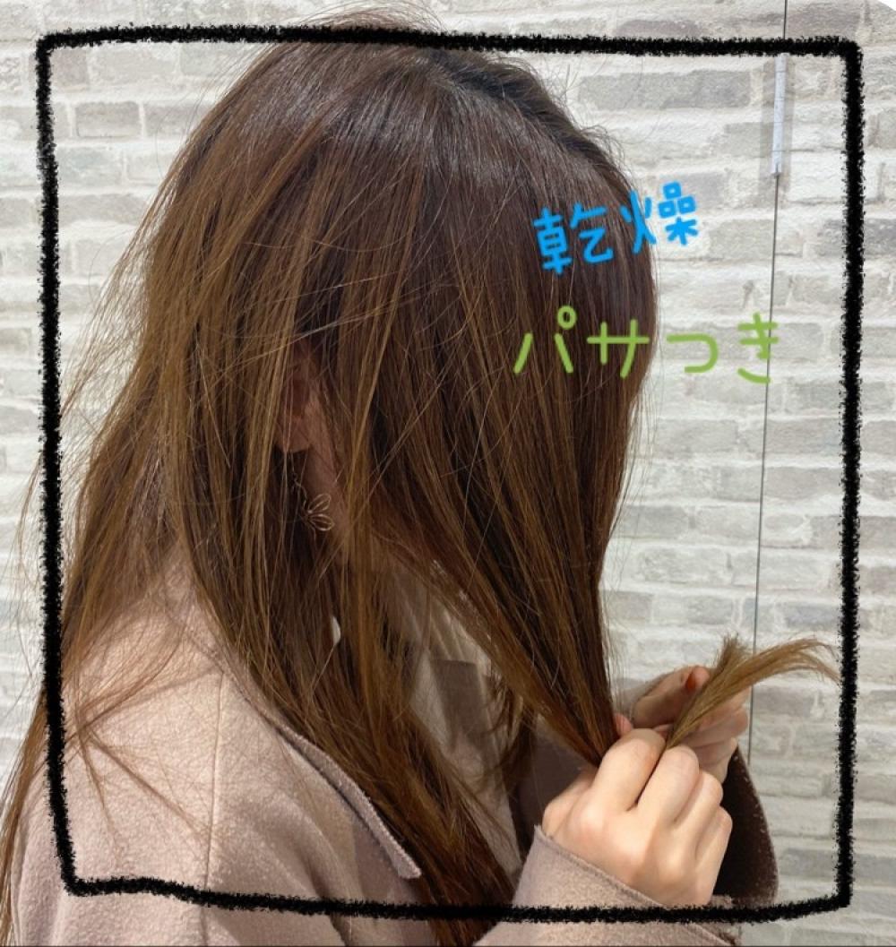 お肌だけじゃない、髪の毛が乾燥する季節の対処法教えます！