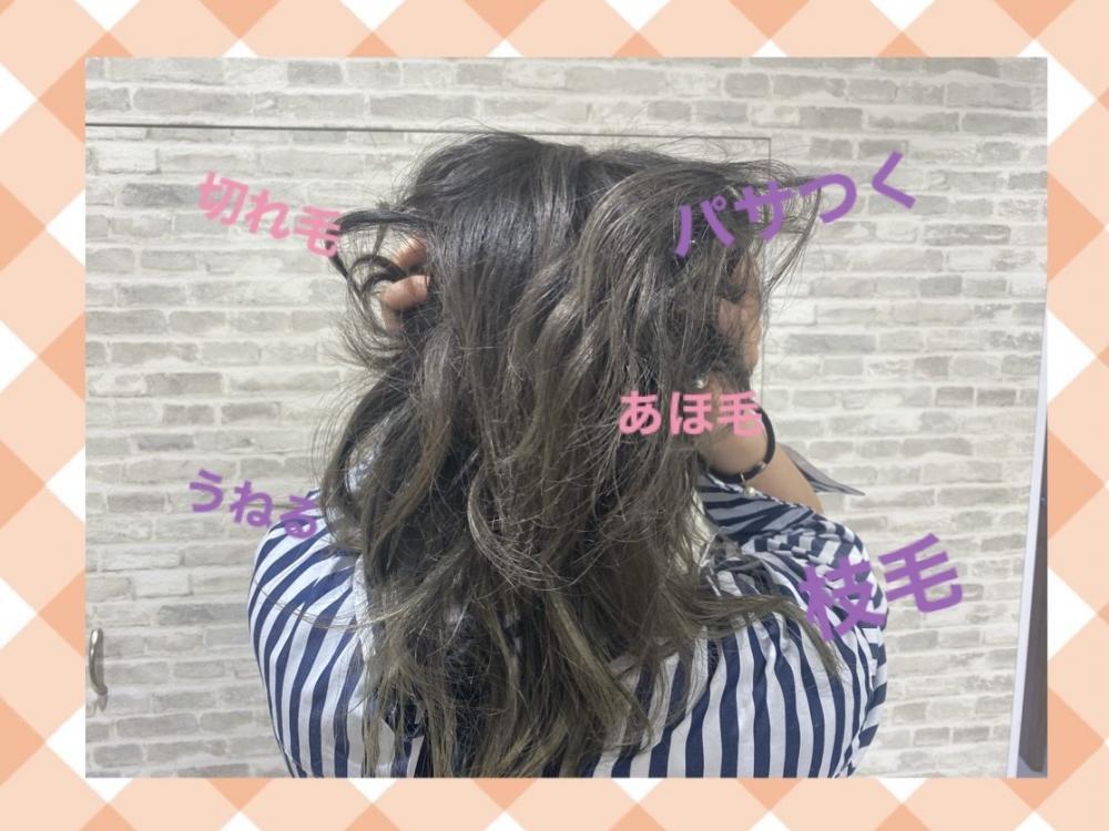 髪がサラツヤにならない理由