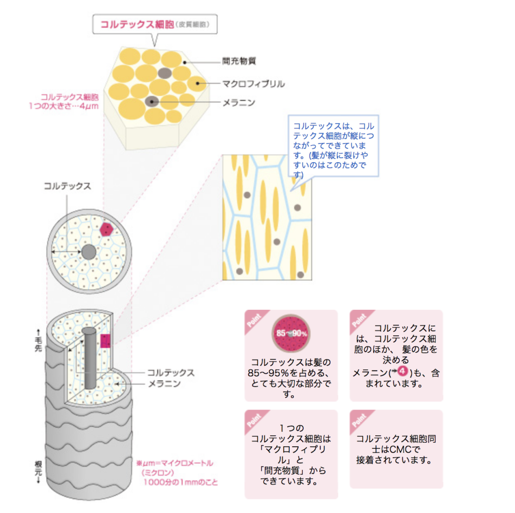 Rカラーって何？
