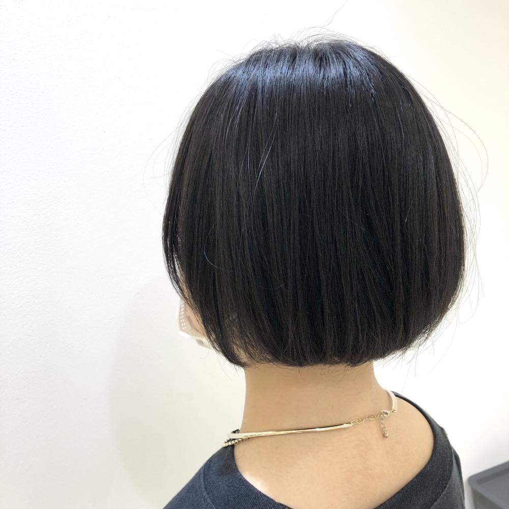 襟足無し