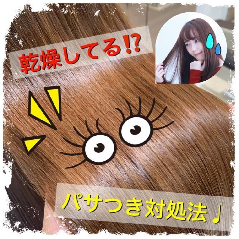 乾燥でパサつく髪の毛の対処法とは！