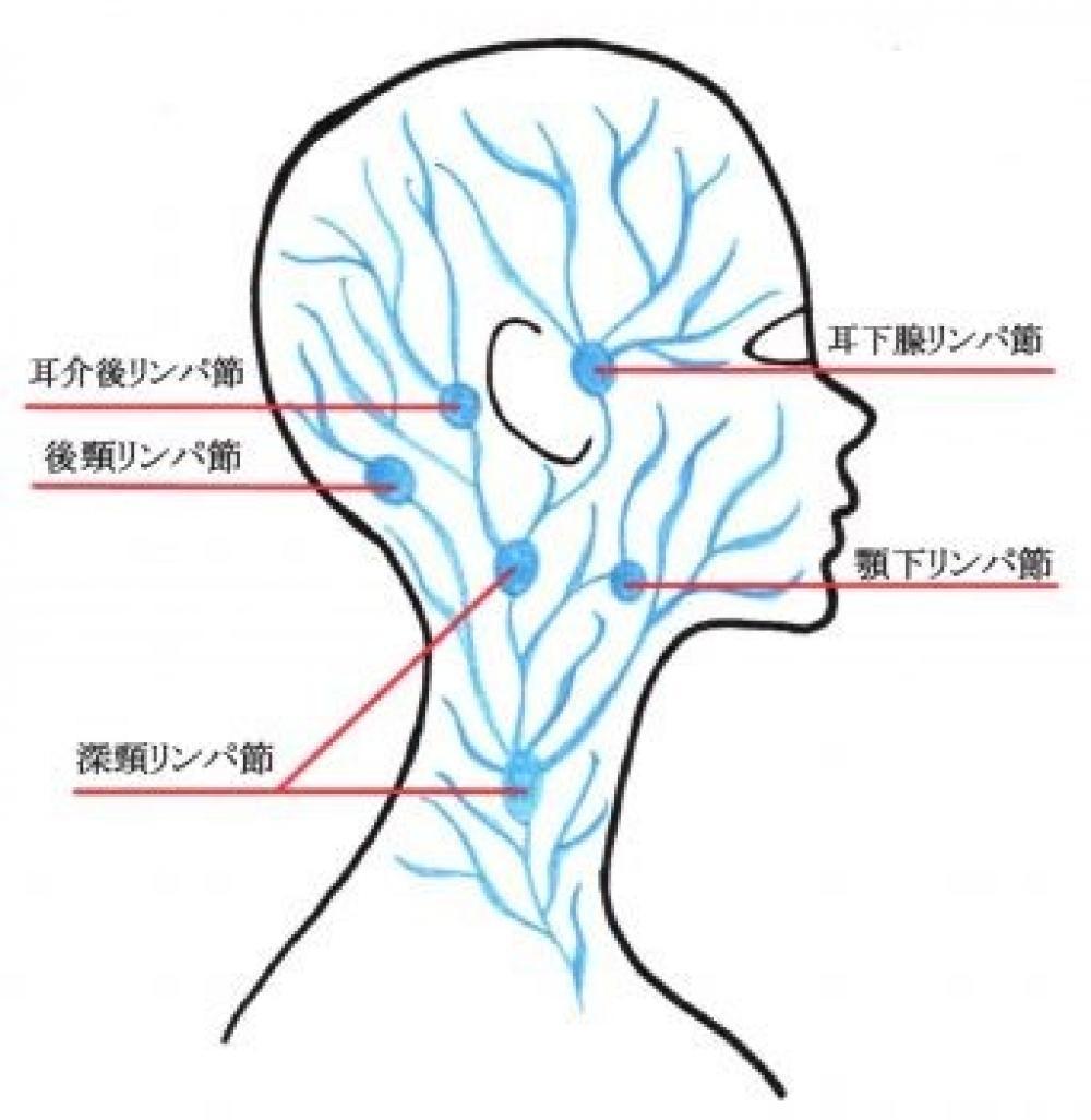 ヘッドスパでリンパマッサージ