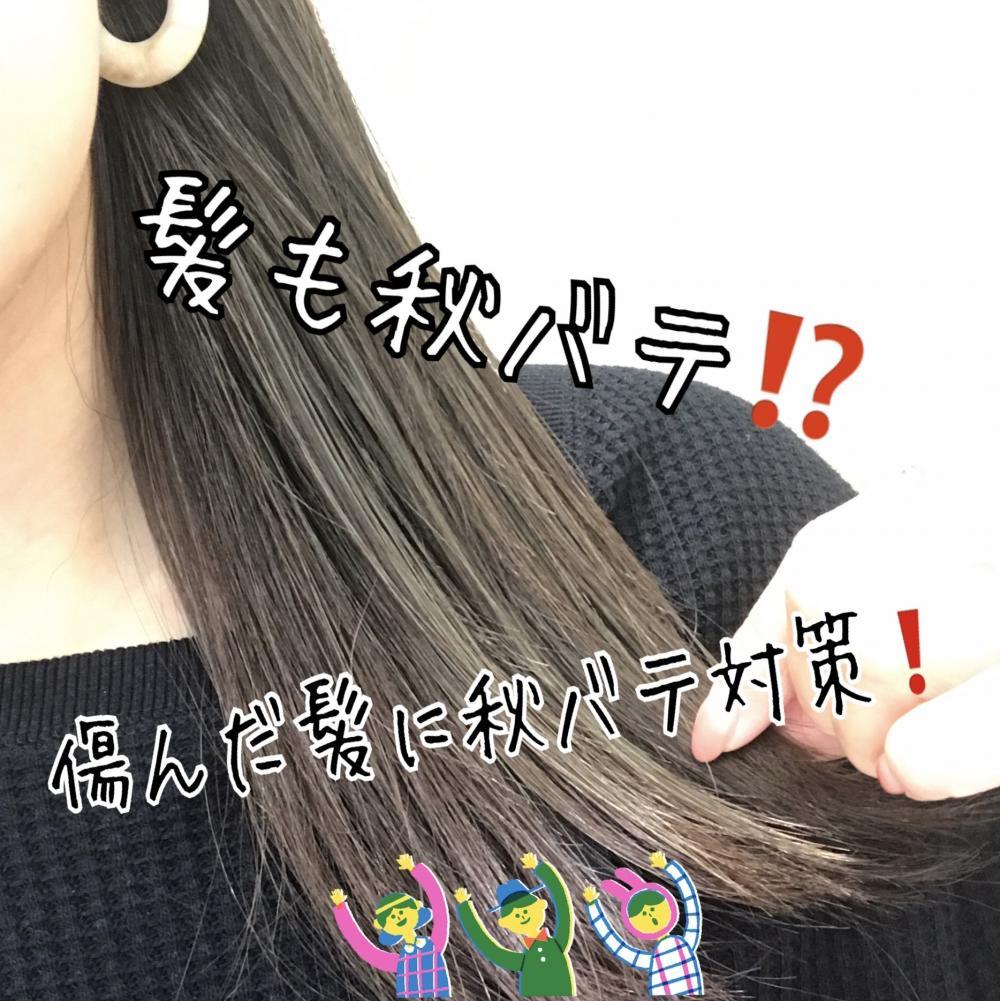 髪にも秋バテがある？！今からできる秋バテ対策！