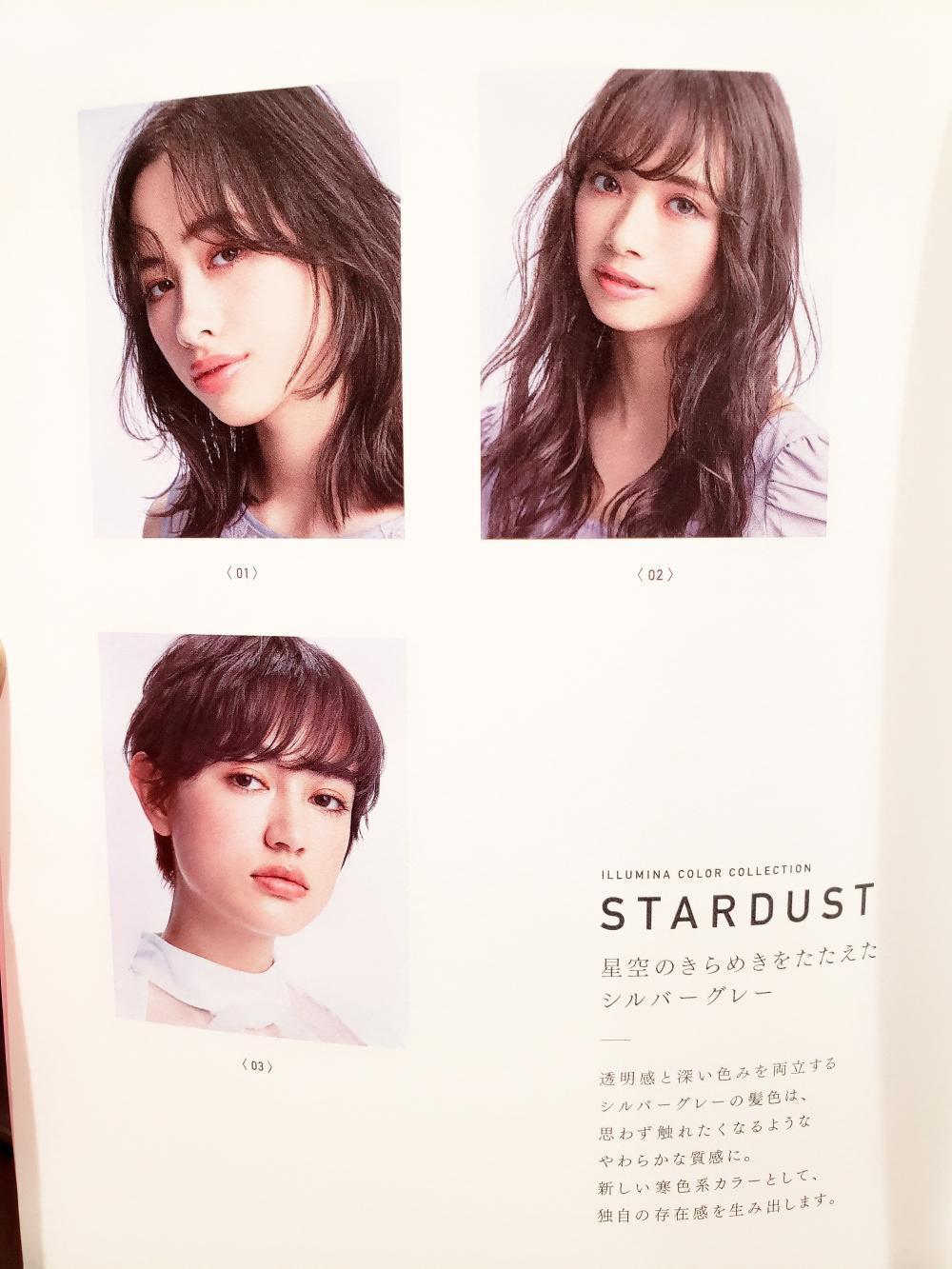 【新色１】　スターダスト