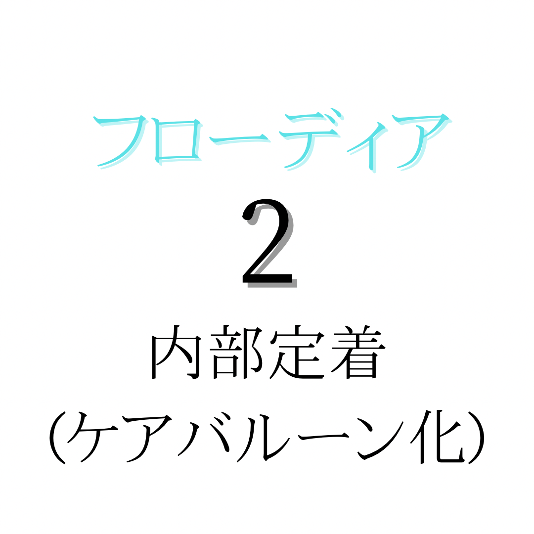 フローディア2. 内部定着