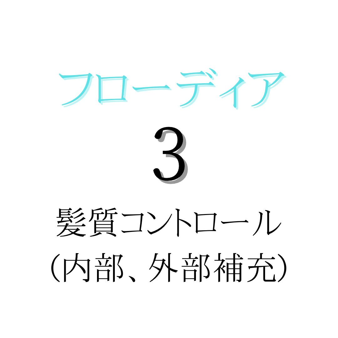 フローディア3. 髪質コントロール