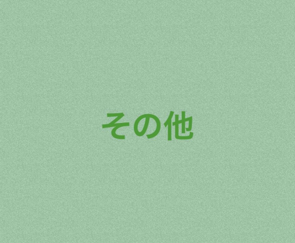 その他
