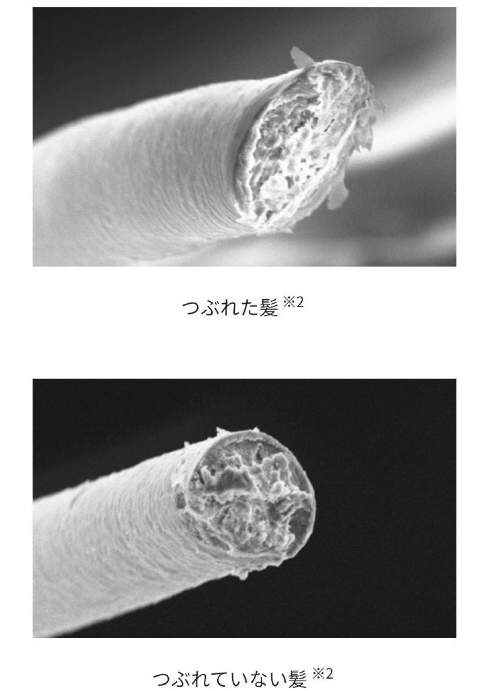低反発コートで優しく包み込む
