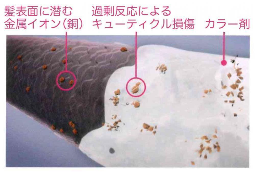 ダメージが少ない！？